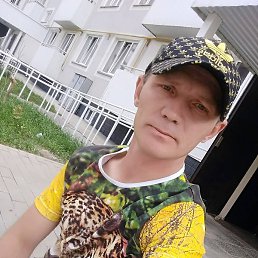 ���������, ������, 37 ���