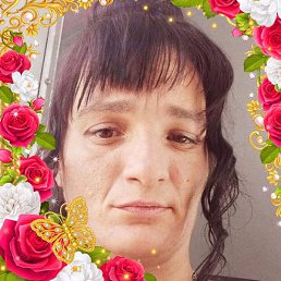 ������, �������, 37 ���