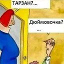 ���� ���������, ������-��-����, 59 ��� - ��������� 15 ������� 2024 � ������ ���� ����������