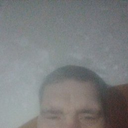 ������, 49 ���, ��������