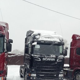 ������, ���������, 41 ���