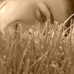 ������, ������, 33 ����