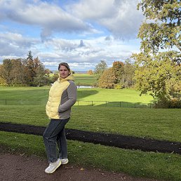 ���� �����, �����-���������, 44 ���� - ��������� 27 ������� 2026