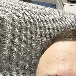 ������, �������, 24 ����