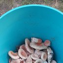 ���� ����, �����-��������� - ��������� 18 ������ 2025 � ������ ���� ����������