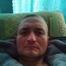 , 41, 