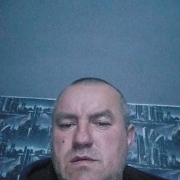 , 43, 