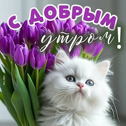 ������, ������, 55 ���