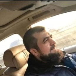 ���, �����, 41 ���