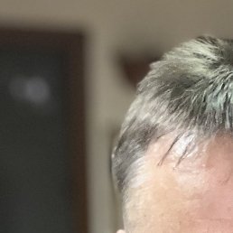 �������, ������, 46 ���