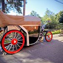 ���� ����, ������, 48 ��� - ��������� 14 ��� 2026 � ������ ���� ����������