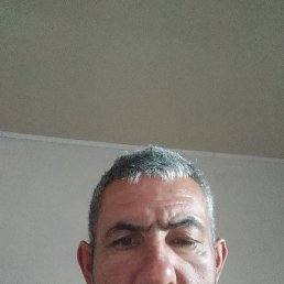 , 54 , 