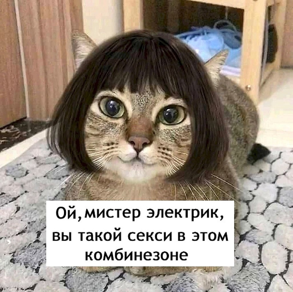���� - 2 ���� 2025 � 15:48