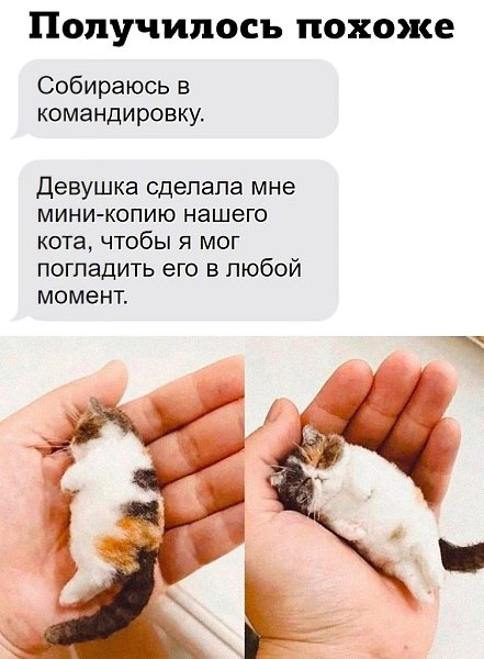 JPG - 22 ������� 2024 � 13:13