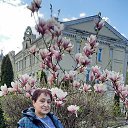 ���� ��������� �������, ����, 59 ��� - ��������� 22 ������� 2024 � ������ ���� ����������