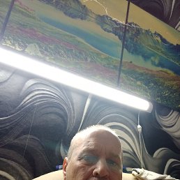  , 51,  