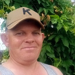 , 37, 
