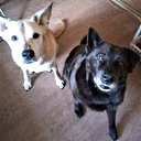  , -, 57  -  21  2025    