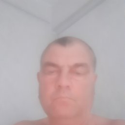 , 61 , 
