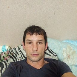 , 37, 