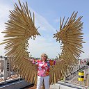 ���� ����, ������, 61 ��� - ��������� 26 ������ 2026 � ������ ���� ����������