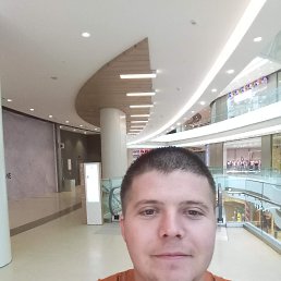 ���� ϸ��, ������, 33 ���� - ��������� 13 ������� 2026