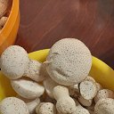 ���� ����, �����-��������� - ��������� 18 ������ 2025 � ������ ���� ����������