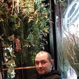 �������, 46 ���, ������