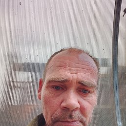 , 42, 