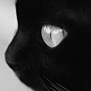 ���� �����, ��������, 38 ��� - ��������� 10 ������� 2025 � ������ ���� ����������