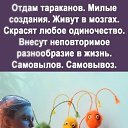 ���� ����, ���, 46 ��� - ��������� 22 ������� 2024 � ������ �� ������ �� ����Ȼ