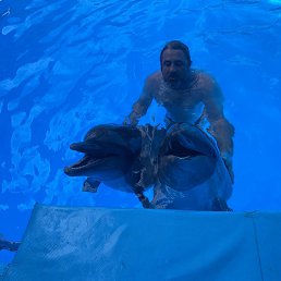 ��������, �����������, 57 ���