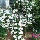 ���� ��������, �����, 61 ��� - ��������� 28 ���� 2025