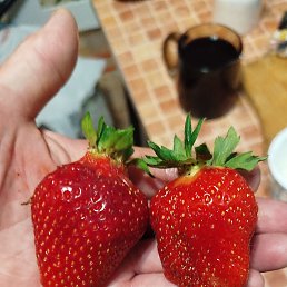  , -, 57  -  20  2025