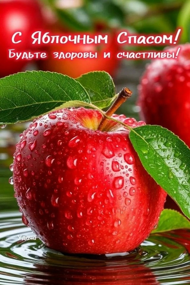 ����������� � ���������, �������� �� ������ ����. - 19 ������� 2026 � 10:05