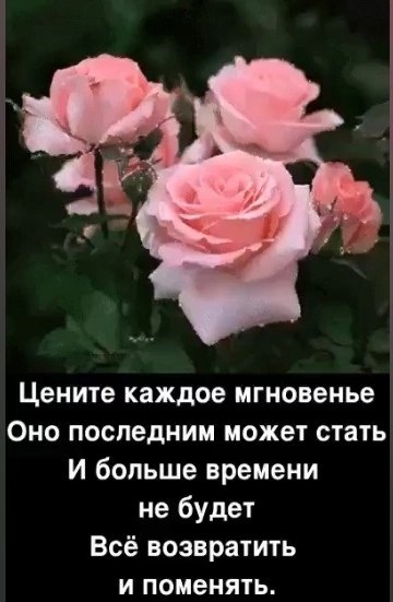  , ,  " "      .   , ... - 3