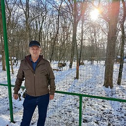 ���������, ������, 45 ���