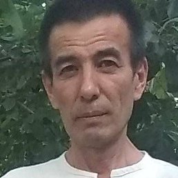 �����, �������, 56 ���