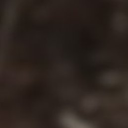 ��������, ������, 55 ���