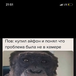 ����, ������, 31 ���