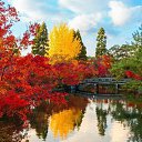 ���� �., ����������� - ��������� 9 �������� 2024 � ������ ������ ��������