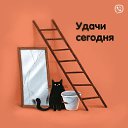 ���� ���������, �����, 48 ��� - ��������� 22 �������� 2024 � ������ ���� ����������