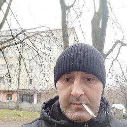 , 37, 