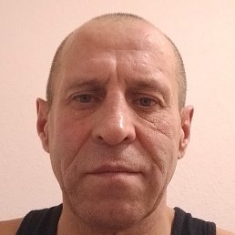 �����, �����-���������, 48 ���