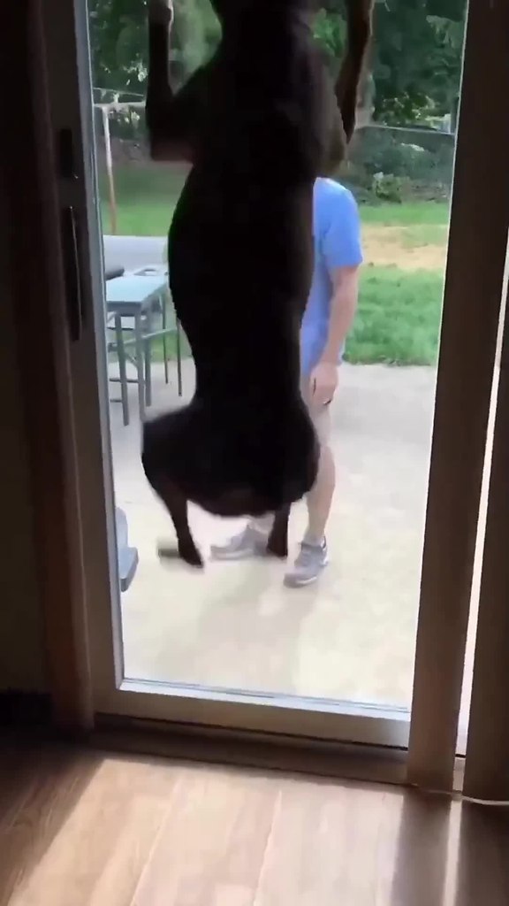 ��� �� ��� ��� �������� �� ������.. - 2
