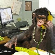 �������, 48 ���, ��������