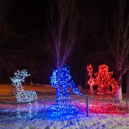 ���� ϸ��, ������, 43 ���� - ��������� 1 ����� 2026