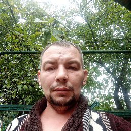 , 38, 