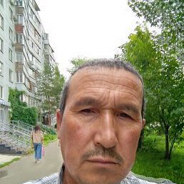 , 52, 