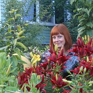 Svet, 55 ���, �������